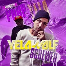 Greg Street & Yelawolf - Screwed